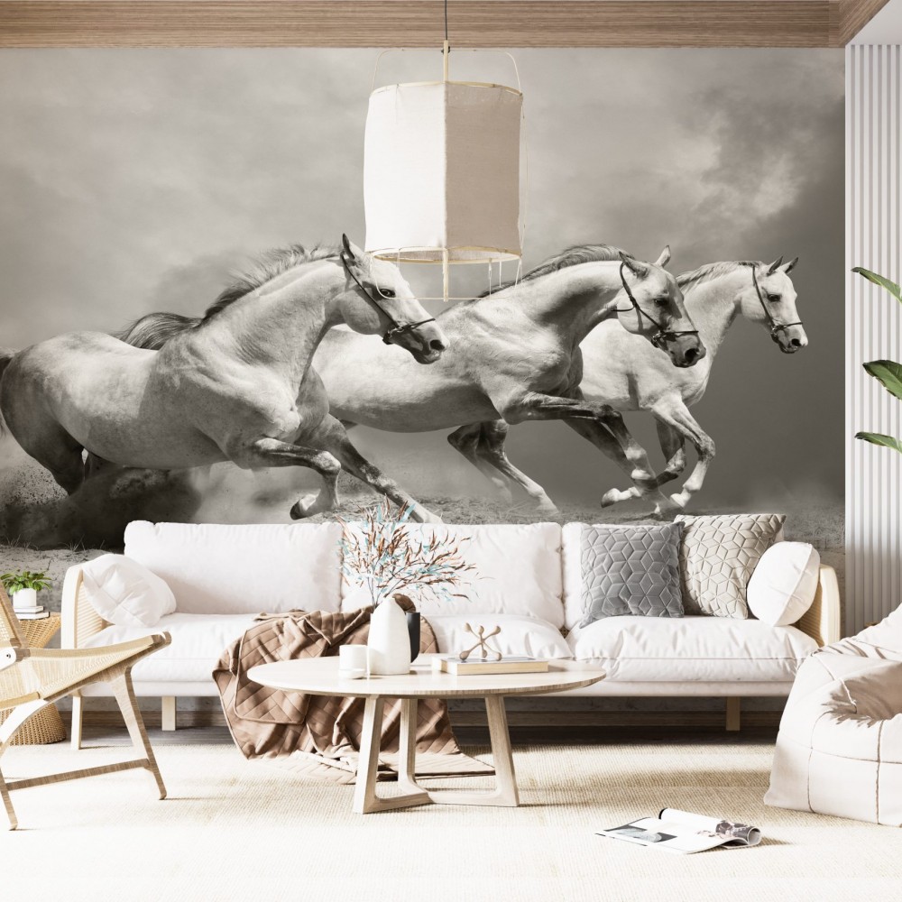 Modern Üç Beyaz At ve Toz Bulutu Temalı Panoramik Duvar Kağıdı
