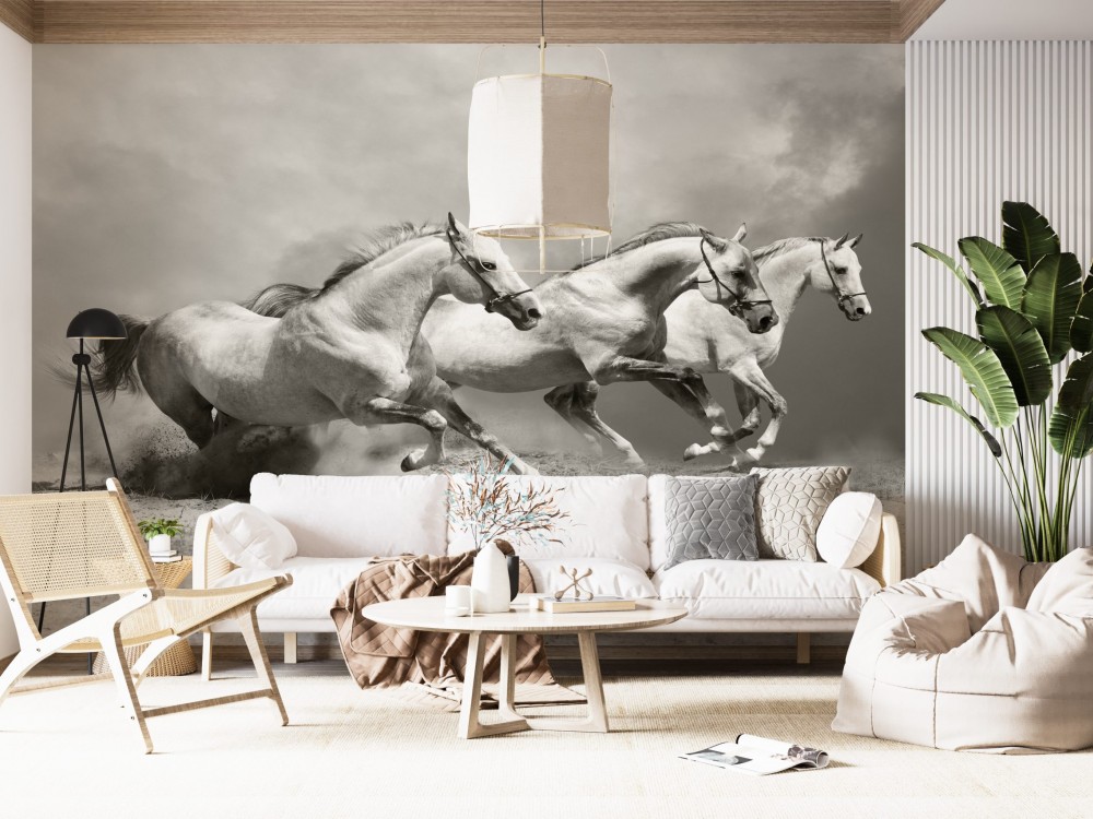 Modern Üç Beyaz At ve Toz Bulutu Temalı Panoramik Duvar Kağıdı