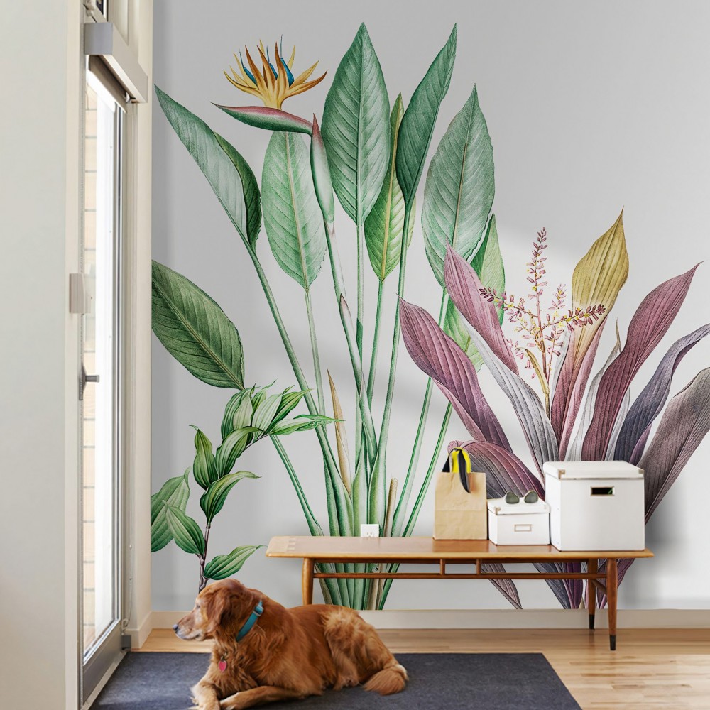 Beyaz Zeminli ve Büyük Formlu Egzotik Bitki Duvar Kağıdı