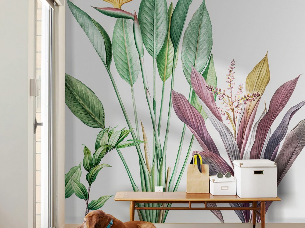 Beyaz Zeminli ve Büyük Formlu Egzotik Bitki Duvar Kağıdı