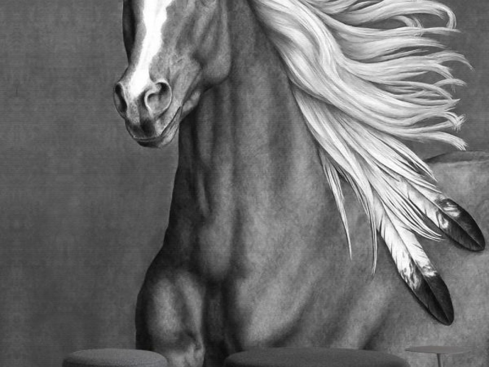 Etnik Ruhlu Siyah Beyaz At Figürlü Sanatsal Duvar Kağıdı