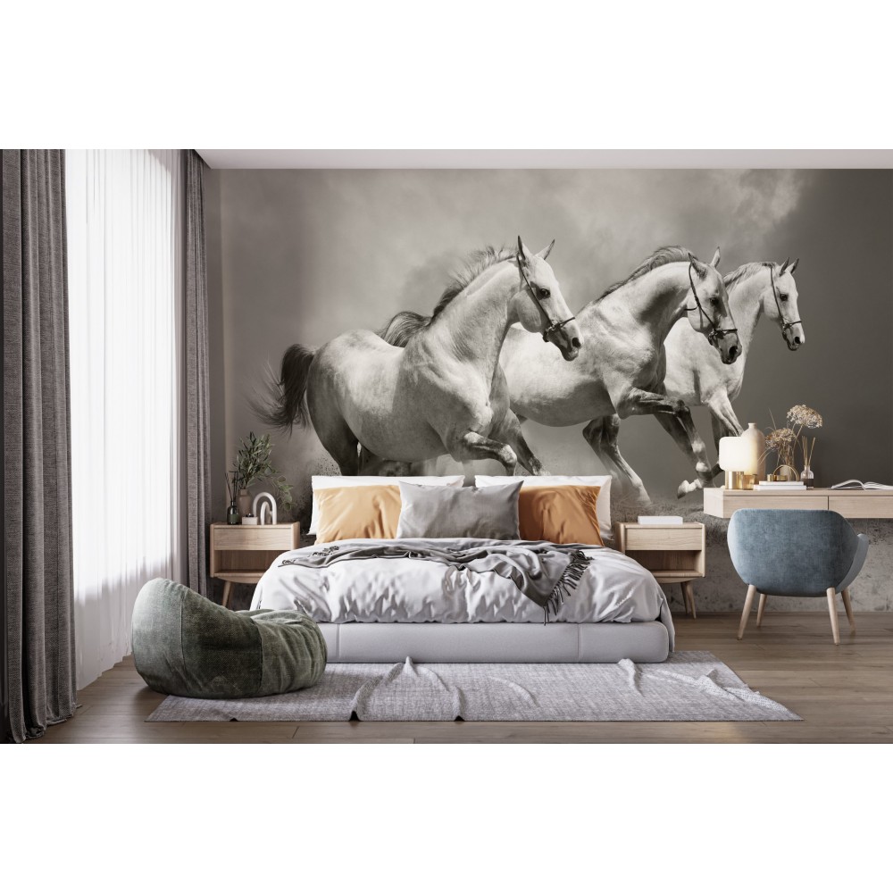 Modern Üç Beyaz At ve Toz Bulutu Temalı Panoramik Duvar Kağıdı