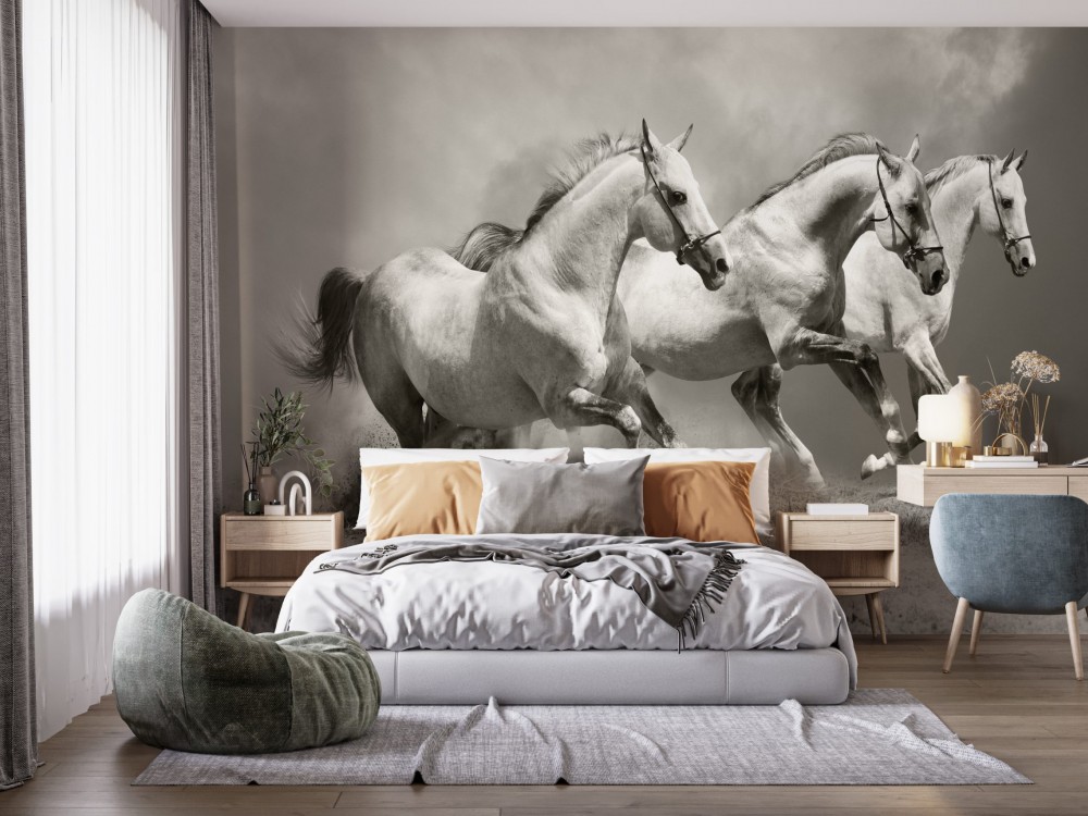 Modern Üç Beyaz At ve Toz Bulutu Temalı Panoramik Duvar Kağıdı