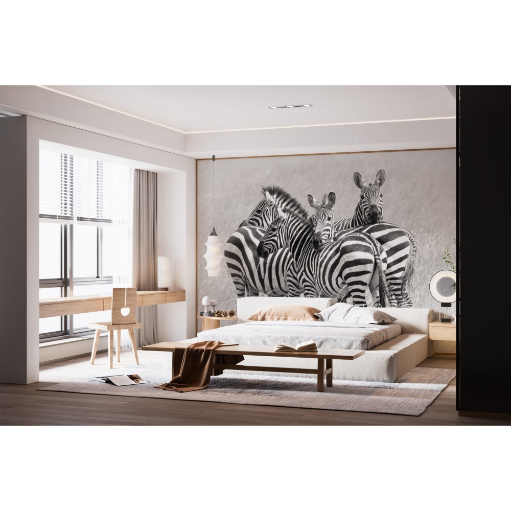 Siyah Beyaz Gerçekçi Zebra Sürüsü Desenli Duvar Kağıdı