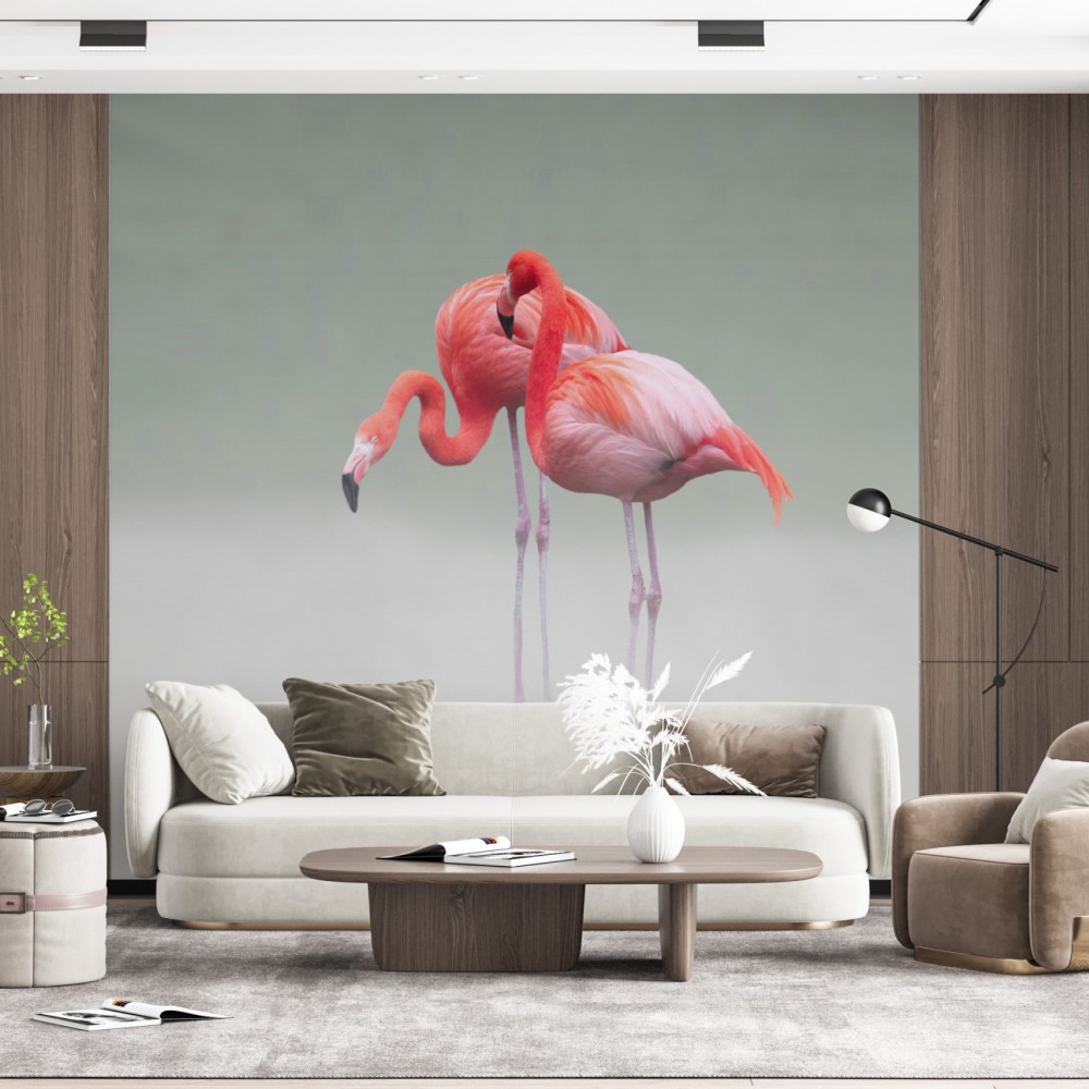 Soft Gri Zemin Üzerine İki Flamingo Figürlü Modern Duvar Kağıdı