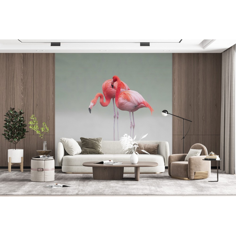 Soft Gri Zemin Üzerine İki Flamingo Figürlü Modern Duvar Kağıdı