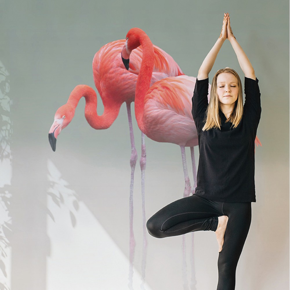 Soft Gri Zemin Üzerine İki Flamingo Figürlü Modern Duvar Kağıdı